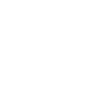 Instagram Ads