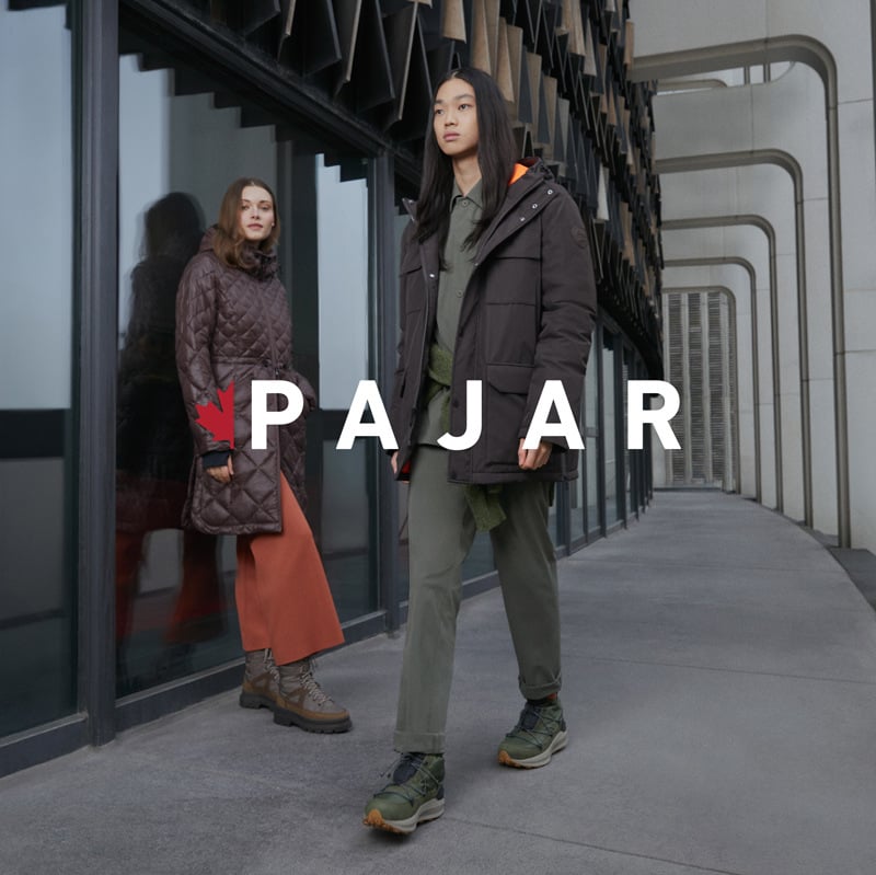 Webtmize-pajar-1